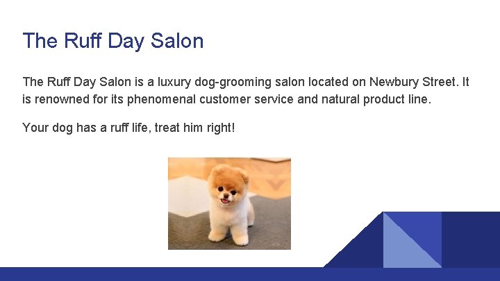 The Ruff Day Salon is a luxury dog-grooming salon located on Newbury Street. It
