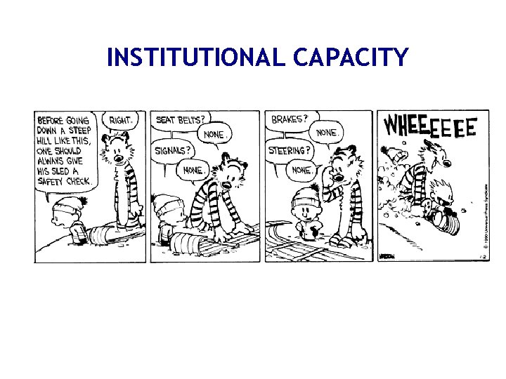 INSTITUTIONAL CAPACITY 