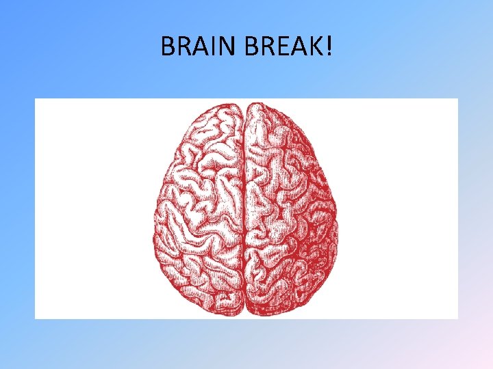 BRAIN BREAK! 
