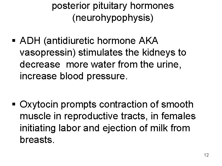 posterior pituitary hormones (neurohypophysis) § ADH (antidiuretic hormone AKA vasopressin) stimulates the kidneys to