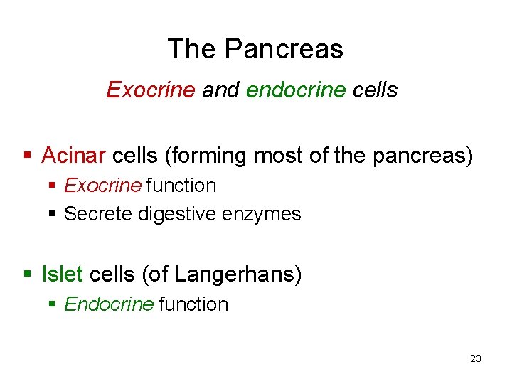 The Pancreas Exocrine and endocrine cells § Acinar cells (forming most of the pancreas)