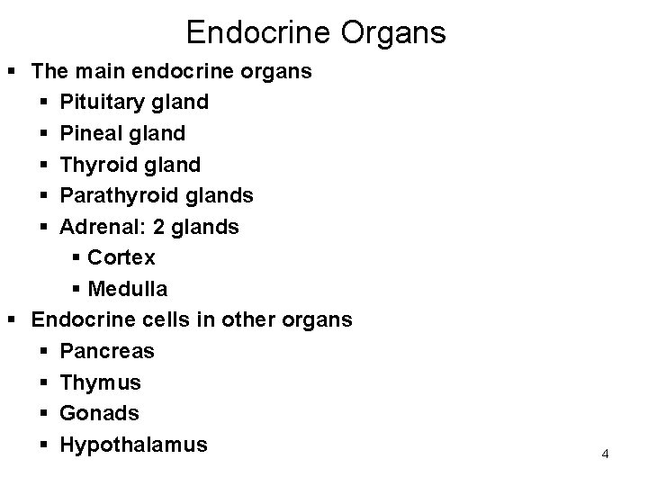 Endocrine Organs § The main endocrine organs § Pituitary gland § Pineal gland §