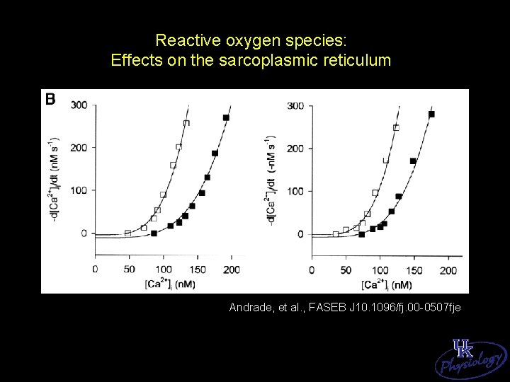 Reactive oxygen species: Effects on the sarcoplasmic reticulum Andrade, et al. , FASEB J