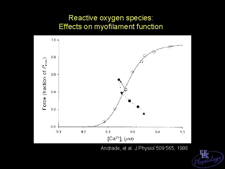 Reactive oxygen species: Effects on myofilament function Andrade, et al. J Physiol 509: 565,