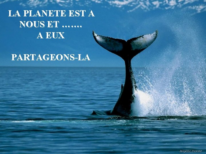 LA PLANETE EST A NOUS ET ……. A EUX PARTAGEONS-LA 