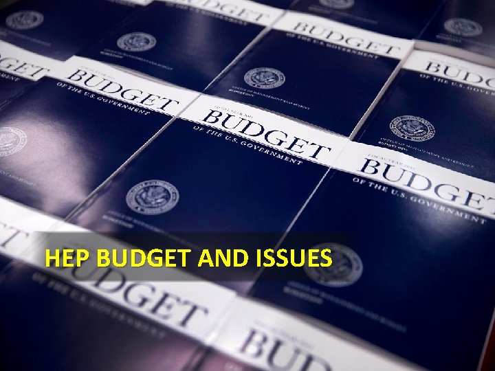 HEP BUDGET AND ISSUES HEP BUDGET AND ISSUES