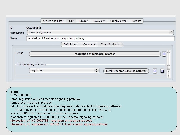 [Term] id: GO: 0050855 name: regulation of B cell receptor signaling pathway namespace: biological_process