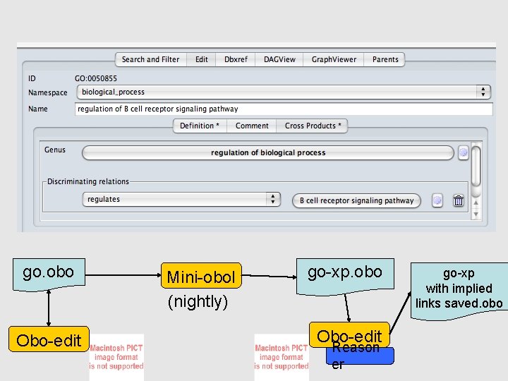 go. obo Obo-edit Mini-obol (nightly) go-xp. obo Obo-edit Reason er go-xp with implied links