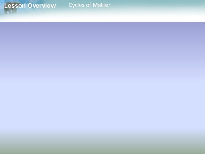 Lesson Overview Cycles of Matter 