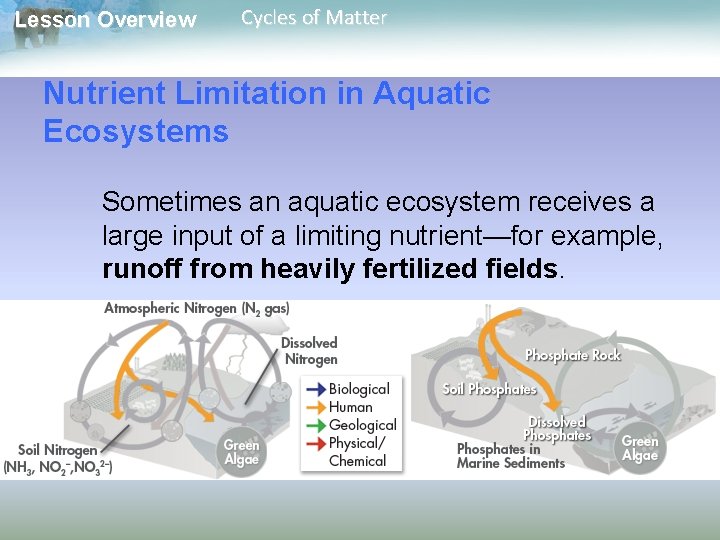 Lesson Overview Cycles of Matter Nutrient Limitation in Aquatic Ecosystems Sometimes an aquatic ecosystem