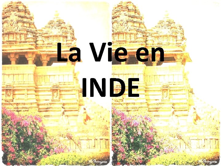 La Vie en INDE 