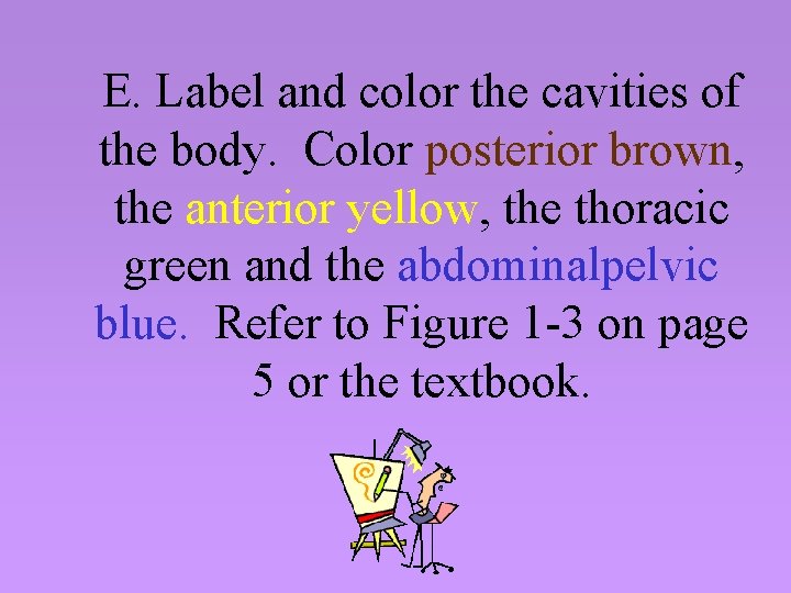 E. Label and color the cavities of the body. Color posterior brown, the anterior