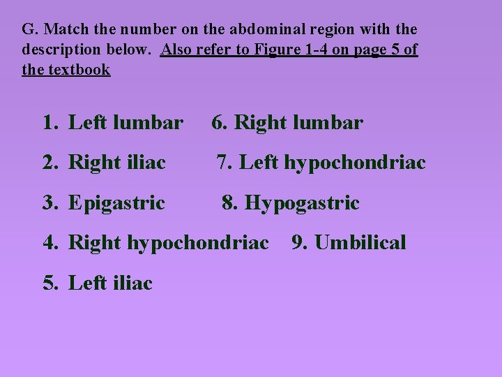 G. Match the number on the abdominal region with the description below. Also refer