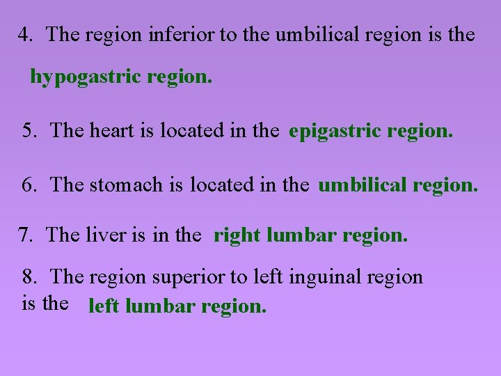 4. The region inferior to the umbilical region is the hypogastric region. 5. The