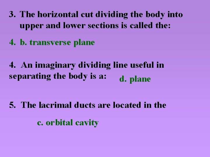 3. The horizontal cut dividing the body into upper and lower sections is called