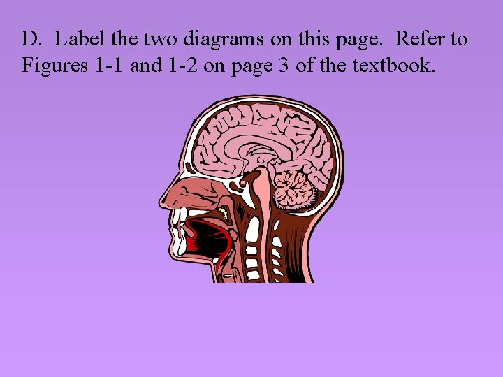 D. Label the two diagrams on this page. Refer to Figures 1 -1 and