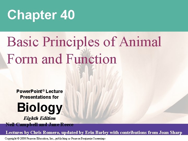 Chapter 40 Basic Principles of Animal Form and Function Power. Point® Lecture Presentations for