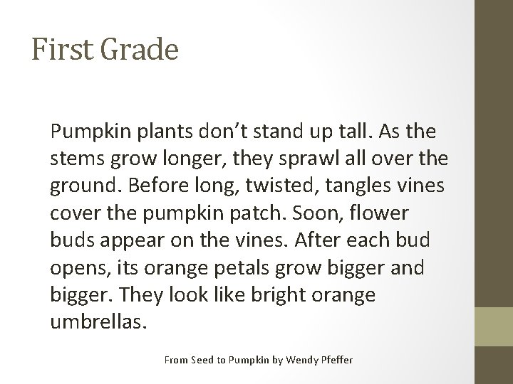 First Grade Pumpkin plants don’t stand up tall. As the stems grow longer, they