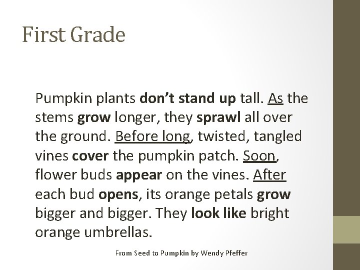 First Grade Pumpkin plants don’t stand up tall. As the stems grow longer, they