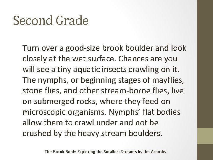 Second Grade Turn over a good-size brook boulder and look closely at the wet