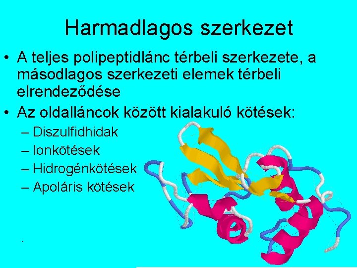 Harmadlagos szerkezet • A teljes polipeptidlánc térbeli szerkezete, a másodlagos szerkezeti elemek térbeli elrendeződése