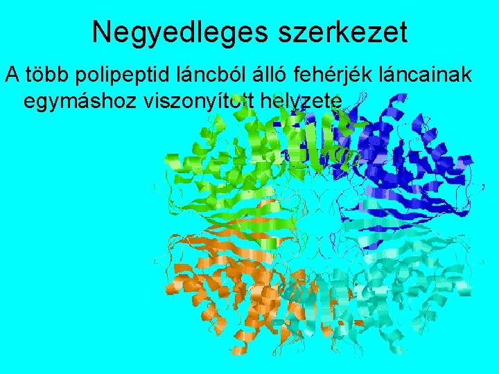 Negyedleges szerkezet A több polipeptid láncból álló fehérjék láncainak egymáshoz viszonyított helyzete 