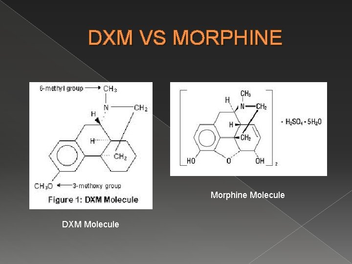 DXM VS MORPHINE Morphine Molecule DXM Molecule 