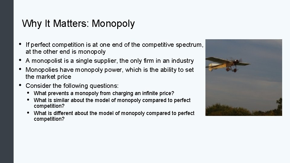 Why It Matters: Monopoly • • If perfect competition is at one end of