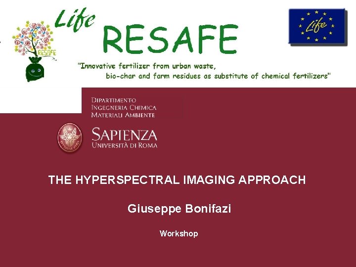 THE HYPERSPECTRAL IMAGING APPROACH • Giuseppe Bonifazi • Workshop 