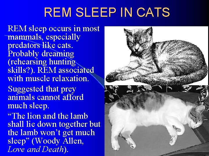 REM SLEEP IN CATS REM sleep occurs in most mammals, especially predators like cats.