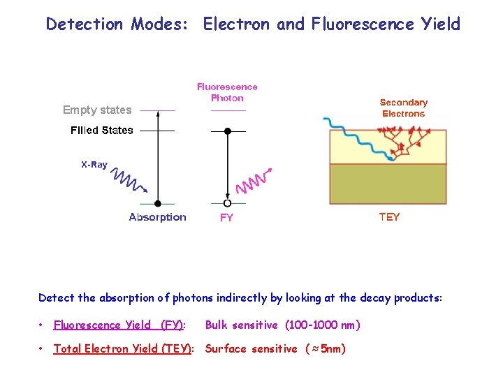 Detection Modes: Electron and Fluorescence Yield Empty states Detect the absorption of photons indirectly