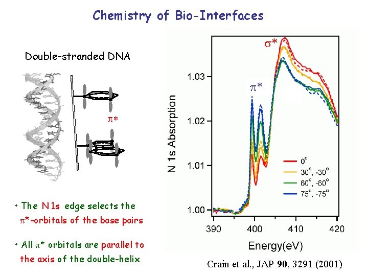 Chemistry of Bio-Interfaces * Double-stranded DNA * * • The N 1 s edge