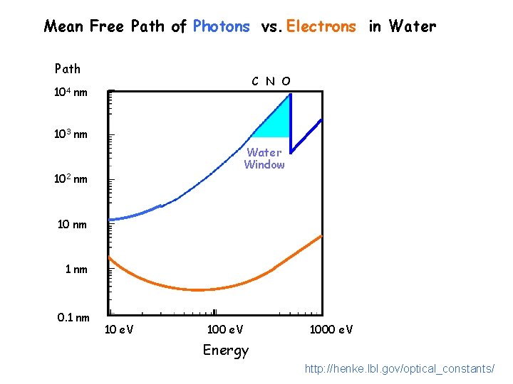 Mean Free Path of Photons vs. Electrons in Water Path C N O 104