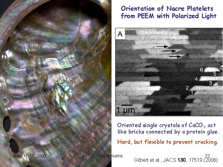 Orientation of Nacre Platelets from PEEM with Polarized Light Oriented single crystals of Ca.