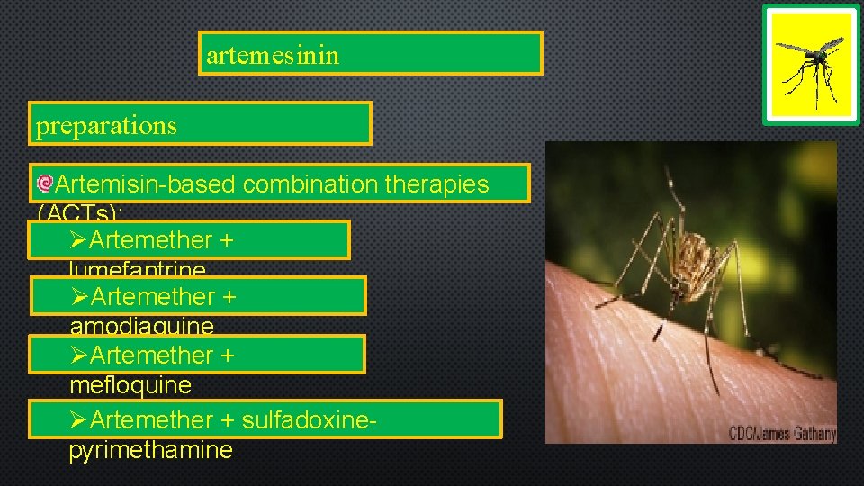 artemesinin preparations Artemisin-based combination therapies (ACTs): ØArtemether + lumefantrine ØArtemether + amodiaquine ØArtemether +