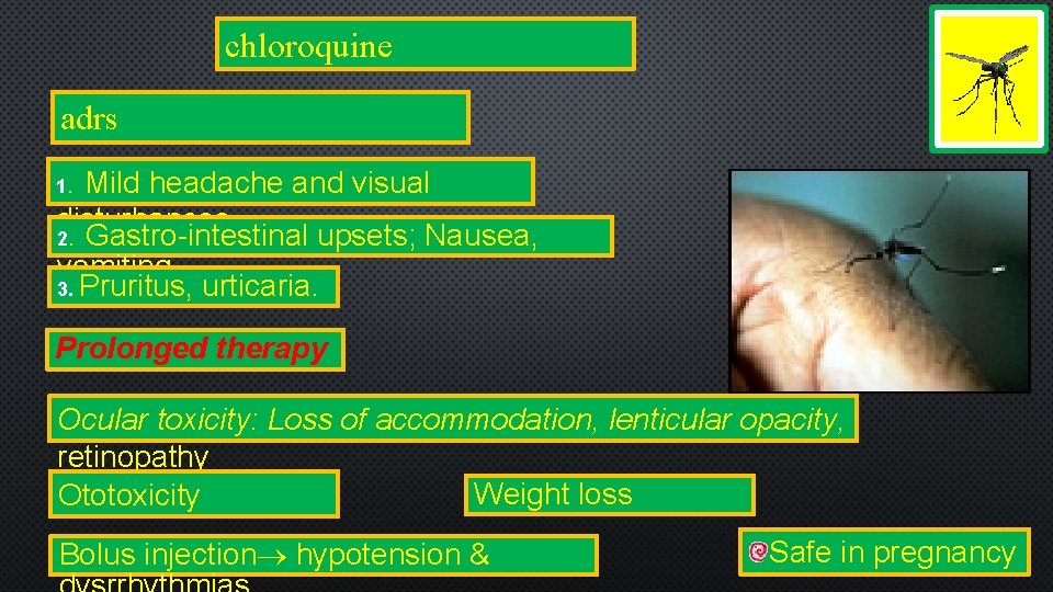 chloroquine adrs 1. Mild headache and visual disturbances 2. Gastro-intestinal upsets; Nausea, vomiting 3.