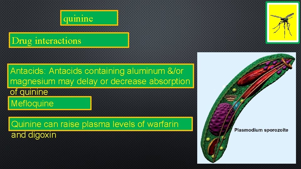 quinine Drug interactions Antacids: Antacids containing aluminum &/or magnesium may delay or decrease absorption