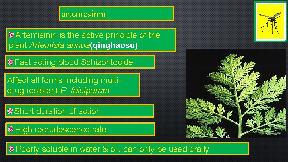artemesinin Artemisinin is the active principle of the plant Artemisia annua(qinghaosu) Fast acting blood