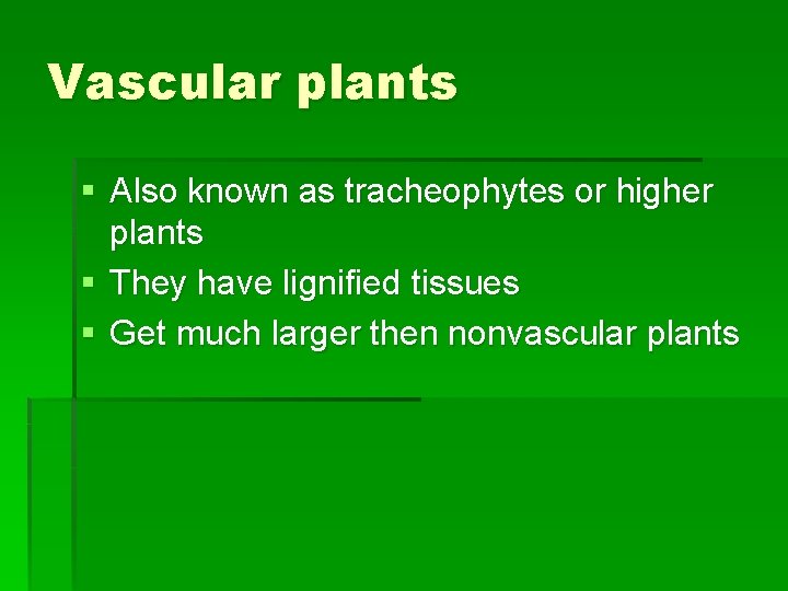 Vascular plants § Also known as tracheophytes or higher plants § They have lignified