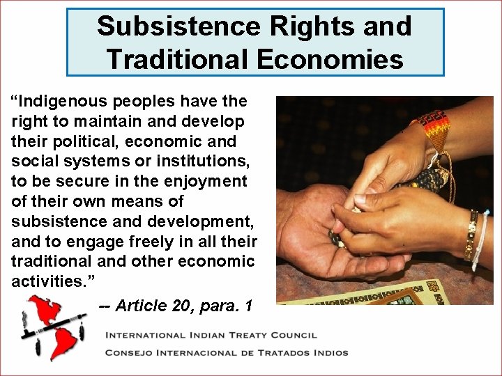 Subsistence Rights and Traditional Economies “Indigenous peoples have the right to maintain and develop