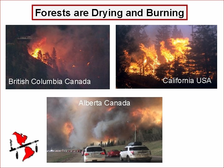 Forests are Drying and Burning Montana British Columbia Canada British Columbia, Canada California USA
