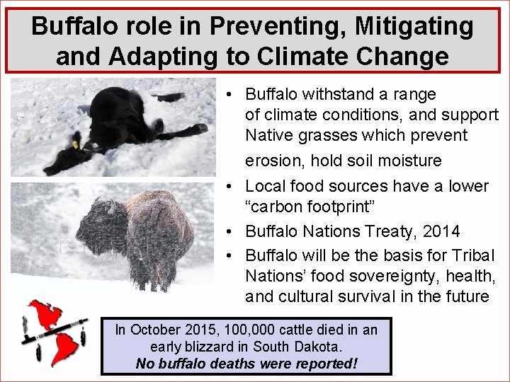 Buffalo role in Preventing, Mitigating and Adapting to Climate Change • Buffalo withstand a