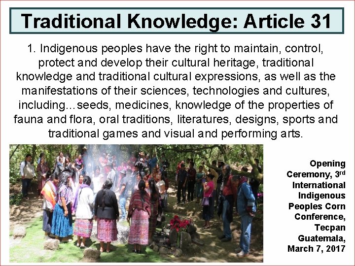 Traditional Knowledge: Article 31 1. Indigenous peoples have the right to maintain, control, protect