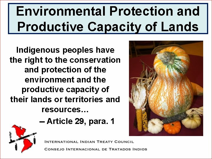 Environmental Protection and Productive Capacity of Lands Indigenous peoples have the right to the