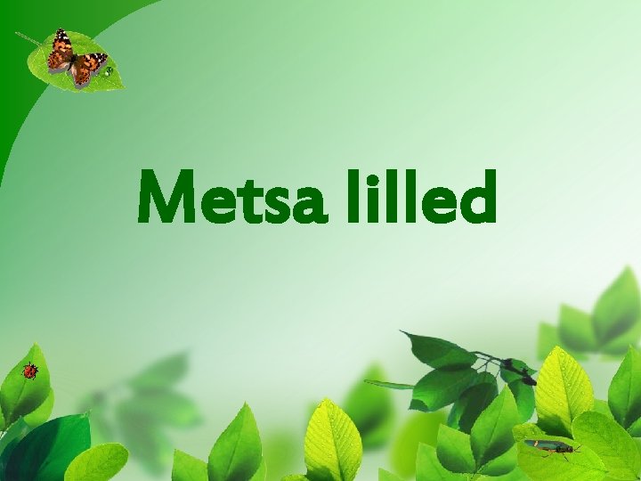 Metsa lilled 