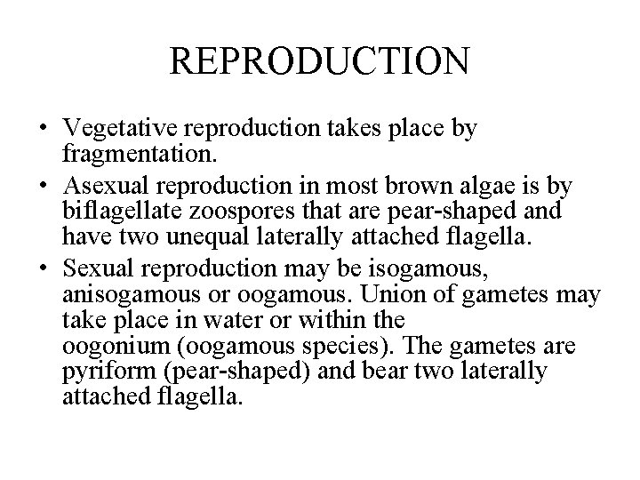 REPRODUCTION • Vegetative reproduction takes place by fragmentation. • Asexual reproduction in most brown