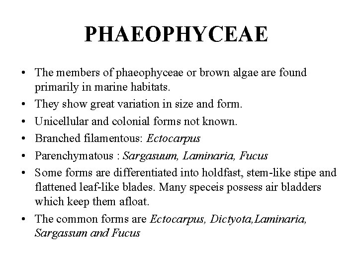 PHAEOPHYCEAE • The members of phaeophyceae or brown algae are found primarily in marine