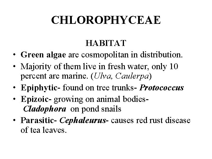 CHLOROPHYCEAE • • • HABITAT Green algae are cosmopolitan in distribution. Majority of them