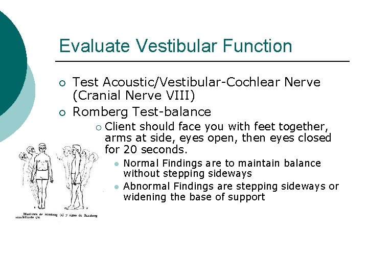 Evaluate Vestibular Function ¡ ¡ Test Acoustic/Vestibular-Cochlear Nerve (Cranial Nerve VIII) Romberg Test-balance ¡