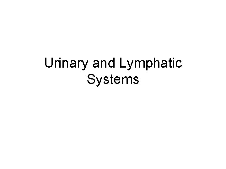 Urinary and Lymphatic Systems 